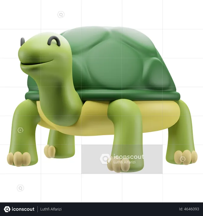 Turtle  3D Illustration