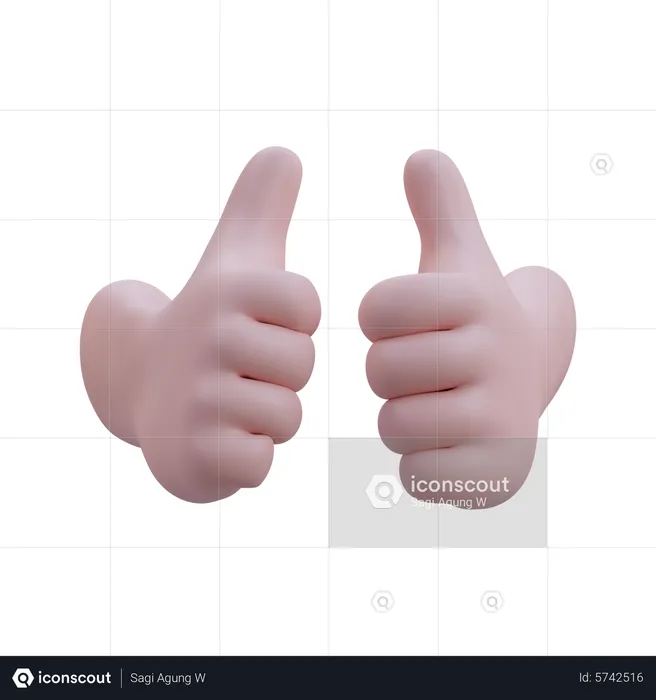 Two Hand Thumbs Up Hand Gesture  3D Icon