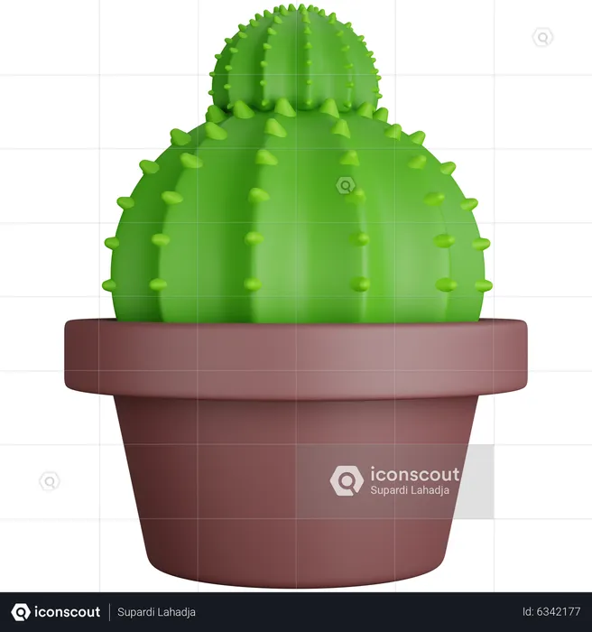 Two Round Cactus  3D Icon