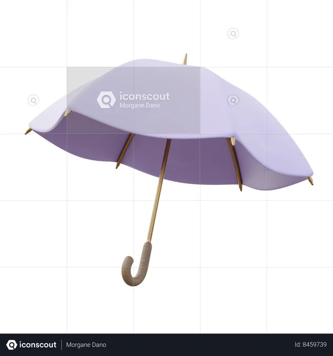 Unisex Umbrella  3D Icon