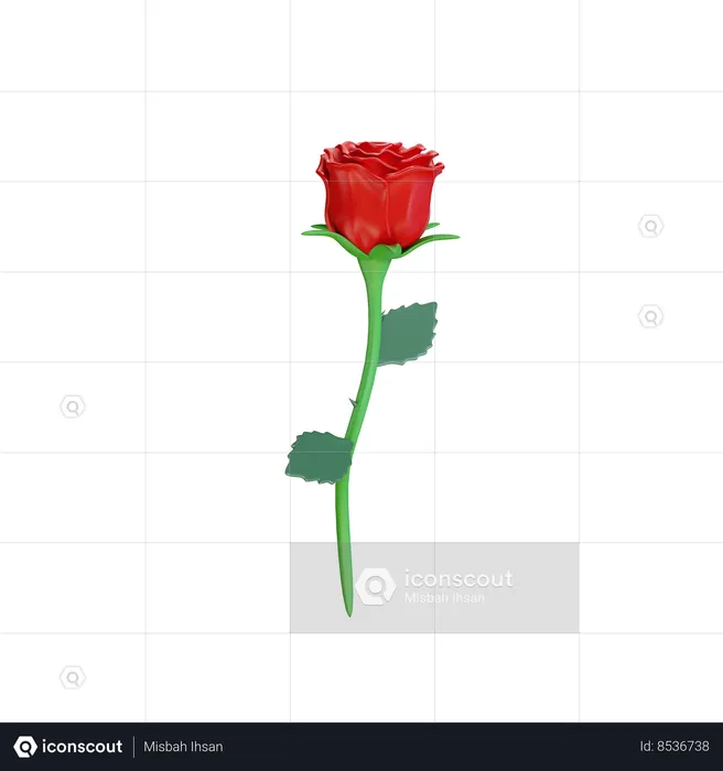 Valentine Rose  3D Icon