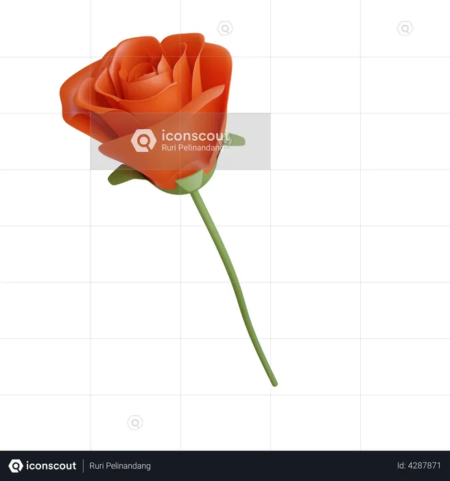 Valentine Rose  3D Illustration