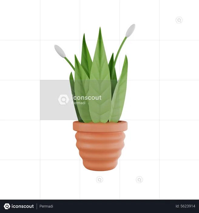 Vaso de planta  3D Icon