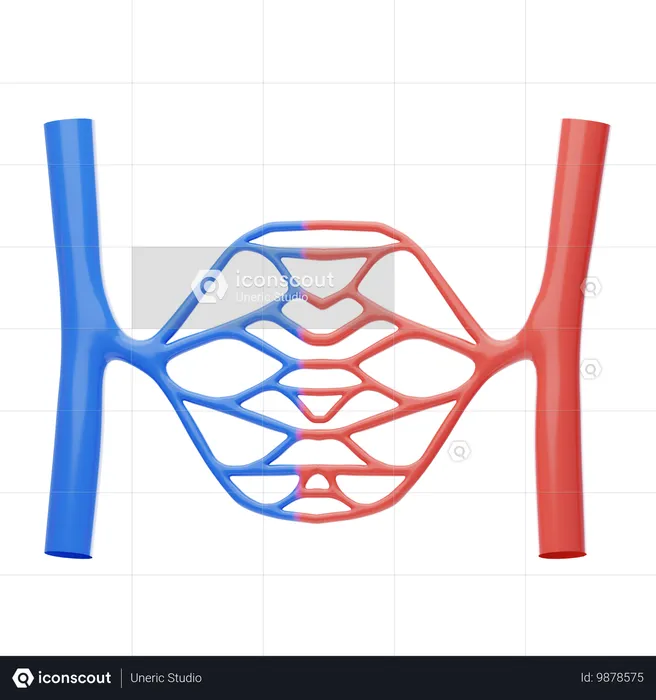 Veias de sangue  3D Icon