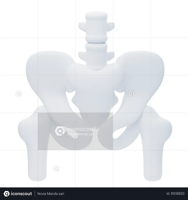 Waist Bone  3D Icon