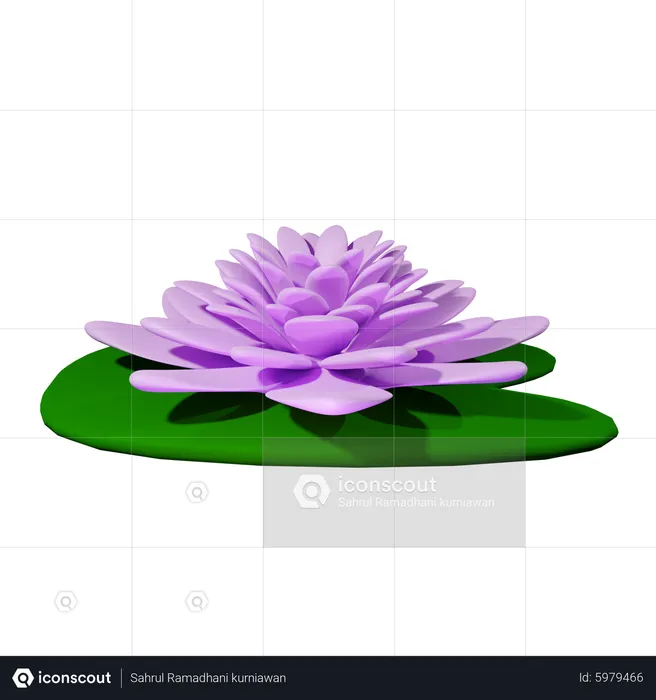 Water lily  3D Icon