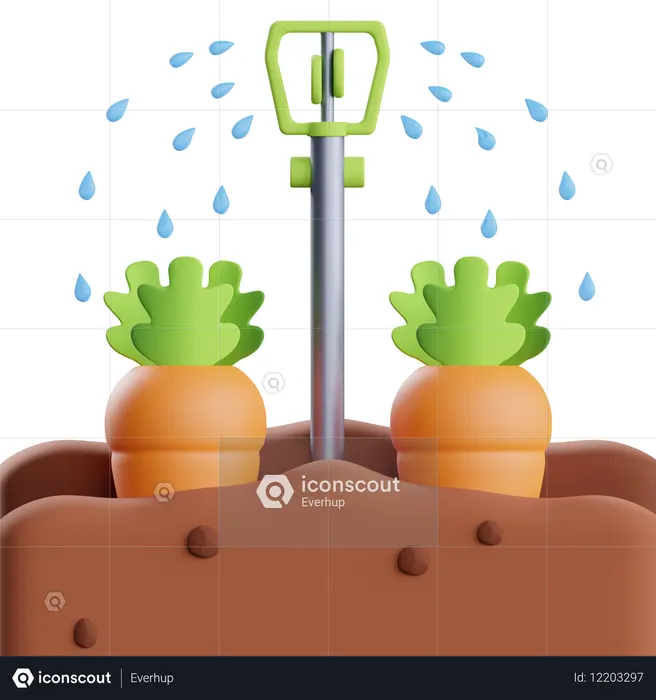 ニンジンに水をかける  3D Icon