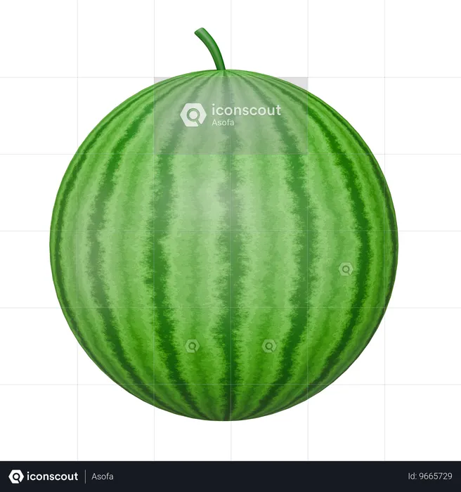 Watermelon Fruit  3D Icon