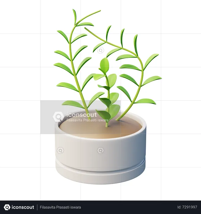 Wax Plant  3D Icon