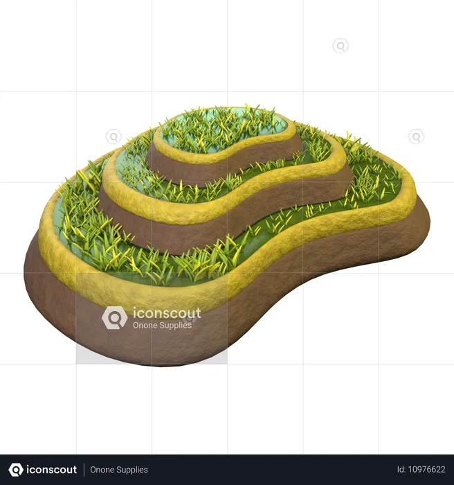 Wet Rice Field  3D Icon