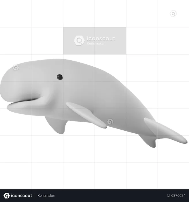 Whale  3D Icon