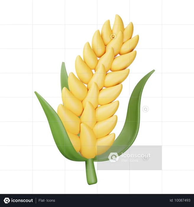 Wheat  3D Icon