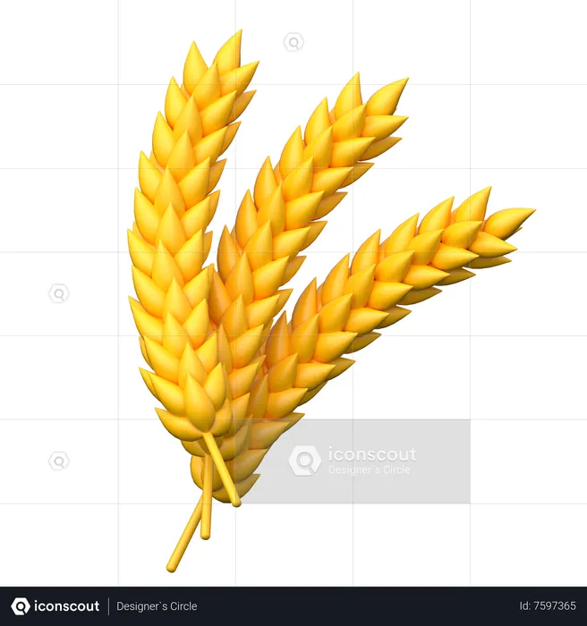 Wheat  3D Icon