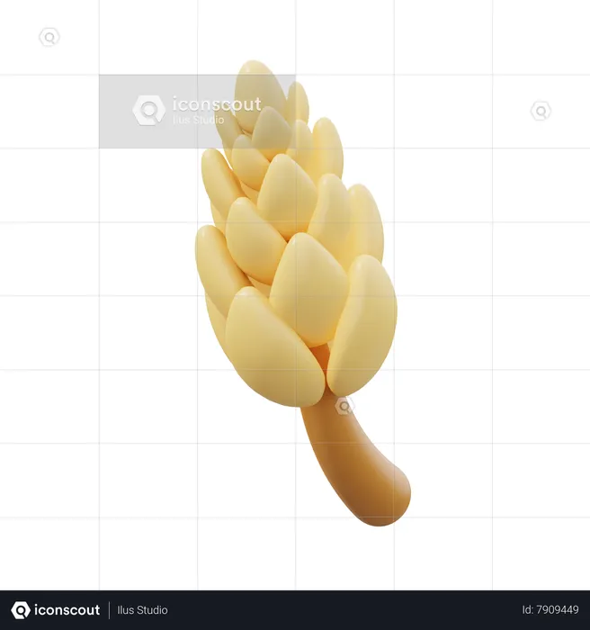 Wheat  3D Icon