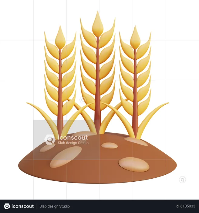 Wheat Farm  3D Icon