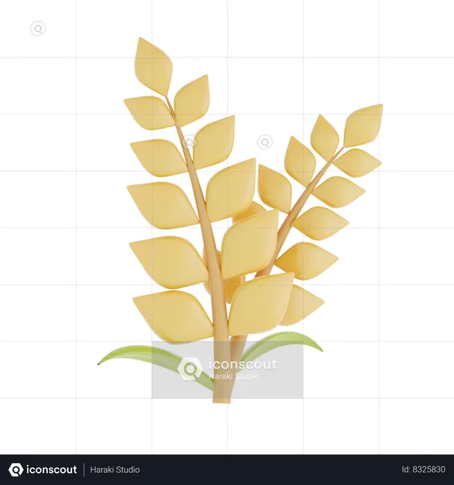 Wheat Grain  3D Icon