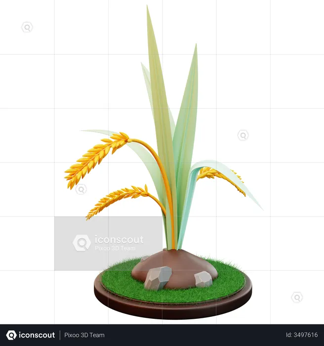 Wheat Plant  3D Illustration