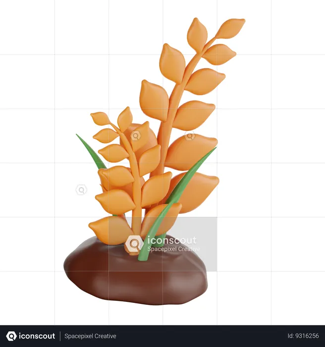 Wheat tree  3D Icon