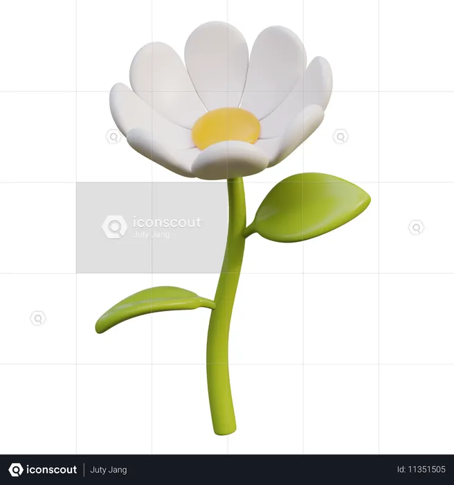 White Daisy Flower  3D Icon