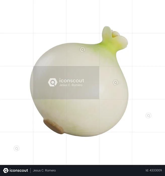White Onion  3D Illustration