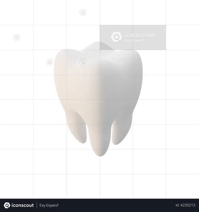 White Tooth  3D Illustration