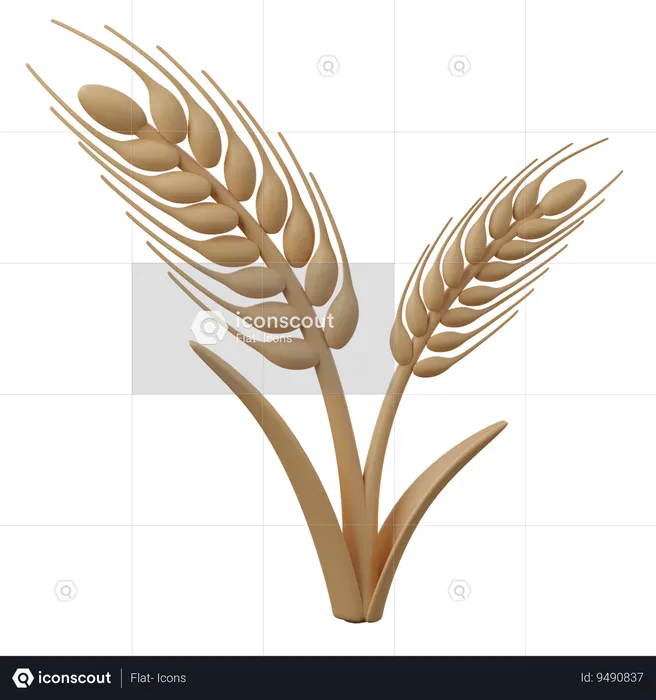 Whole Grains  3D Icon