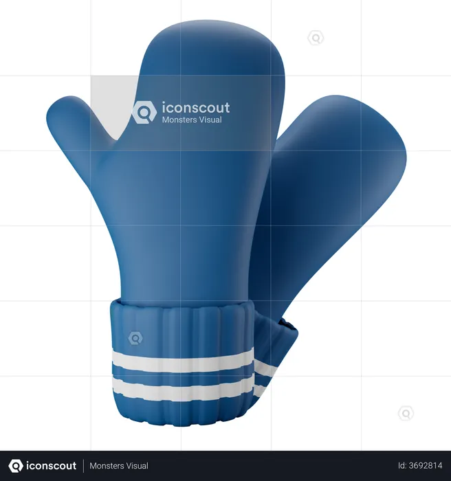Winter Gloves  3D Illustration