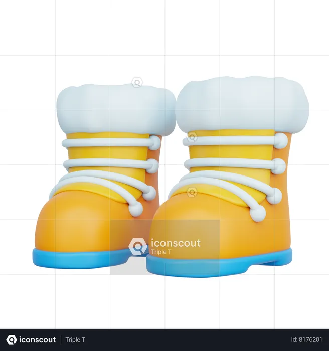 Winter Shoes  3D Icon