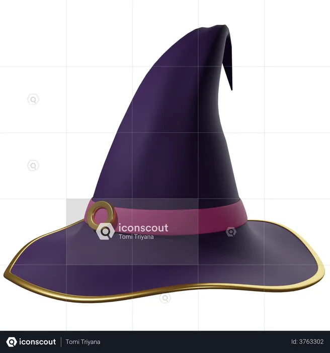 Witch Hat  3D Illustration