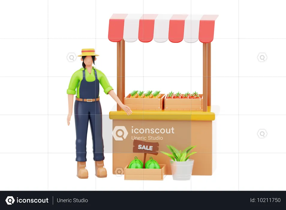 Woman At Farmers Market  3D Illustration