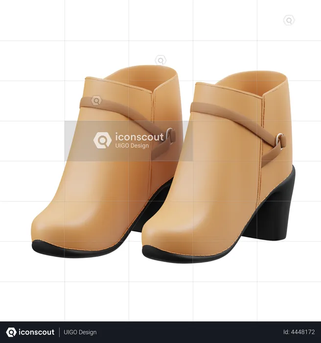 Women Shoes Boots  3D Illustration