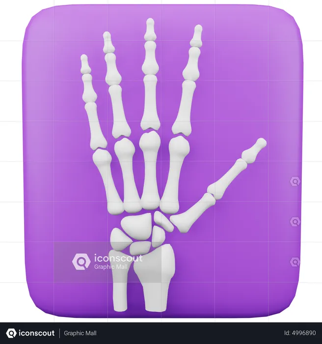 X-Ray  3D Icon