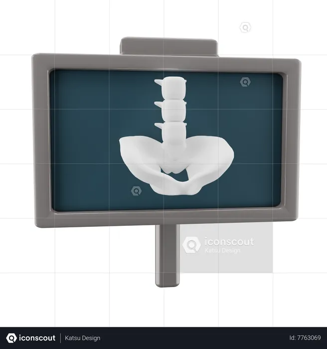 X ray  3D Icon