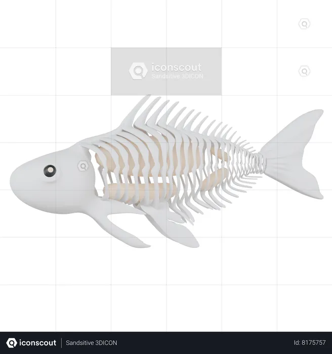 X Ray Fish  3D Icon