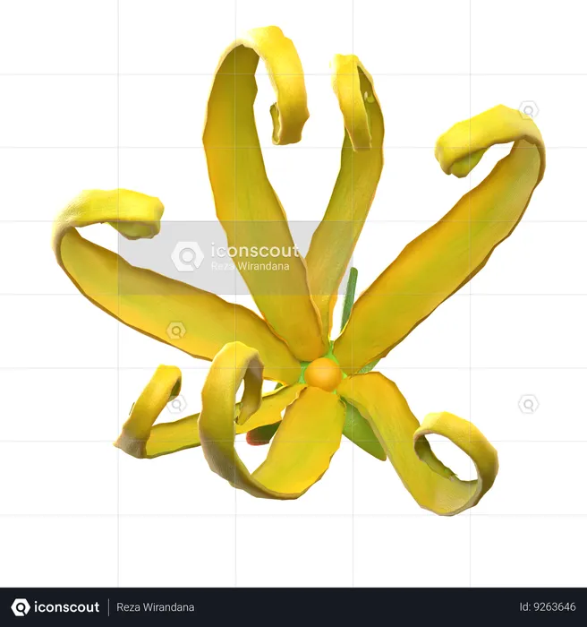 Flor ylang ylang  3D Icon