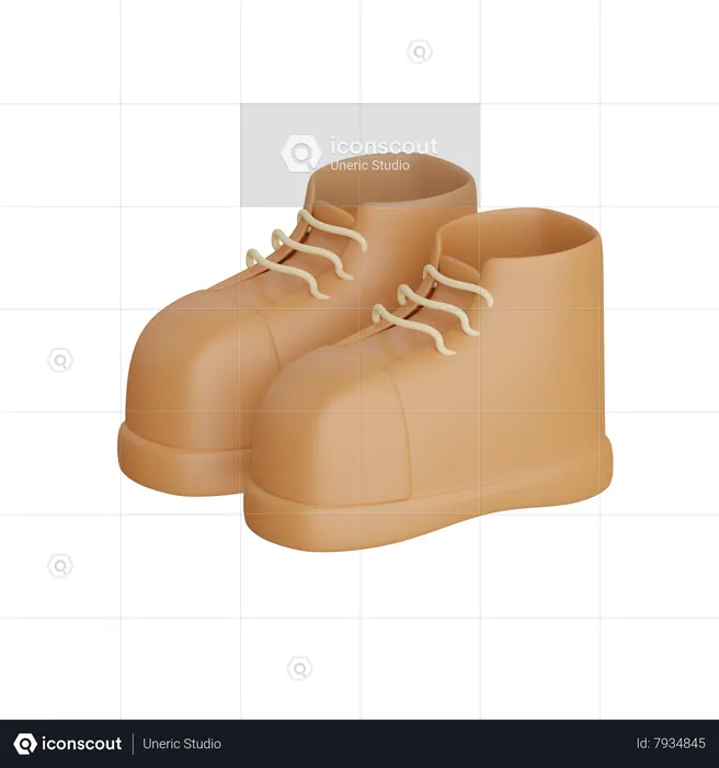 Zapato  3D Icon