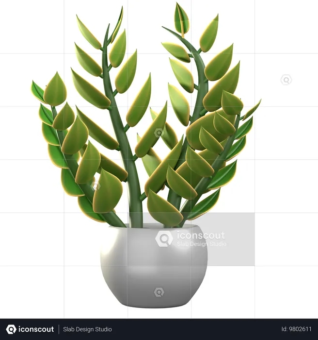 ZZ Plant  3D Icon