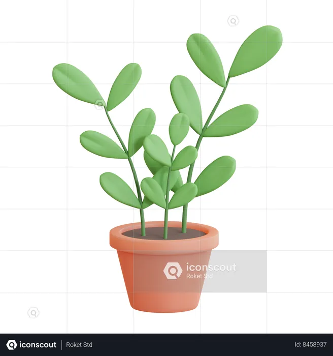 ZZ Plant Pot  3D Icon