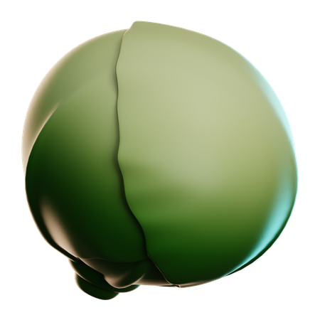 양배추  3D Icon