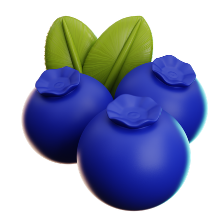블루베리  3D Icon