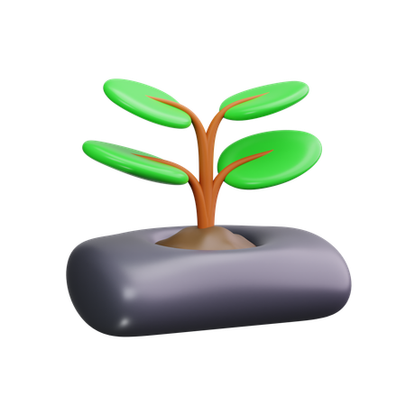 水耕栽培  3D Icon