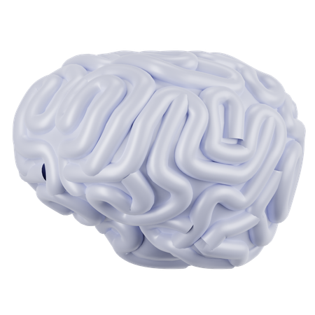 脳  3D Icon