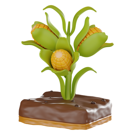 옥수수 농장  3D Icon