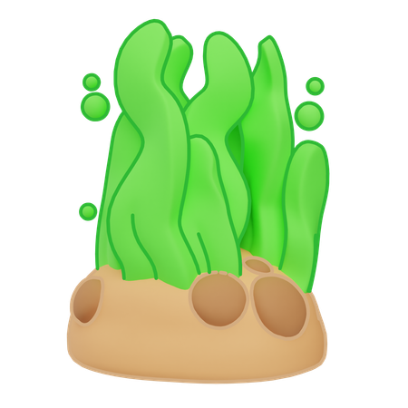 해초  3D Icon