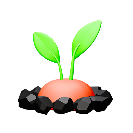 植物  3D Icon