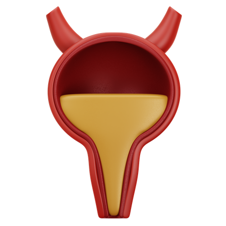 膀胱  3D Icon