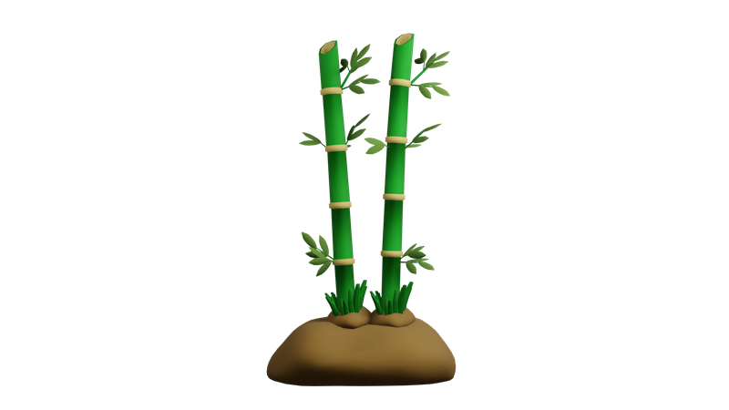 대나무 식물  3D Icon