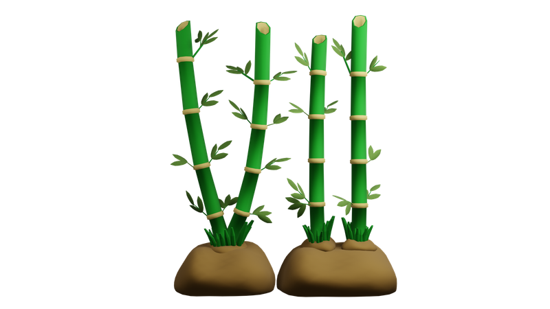 대나무 식물  3D Icon