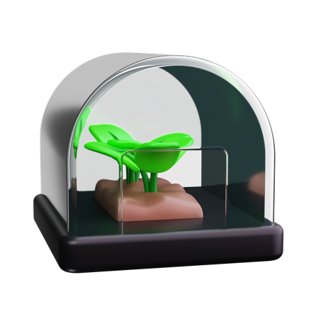 温室  3D Icon