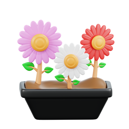 꽃들  3D Icon